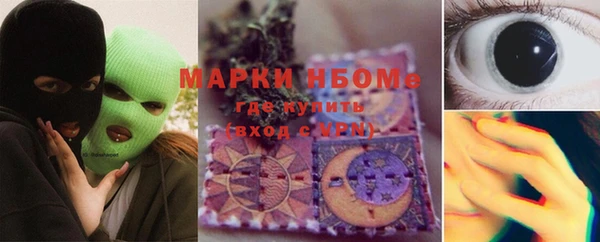 гашик Новодвинск