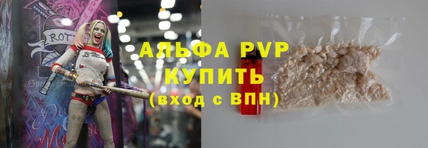 хмурый Нея