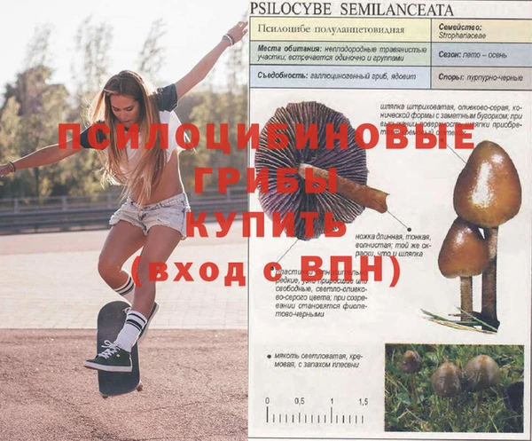 хмурый Нея