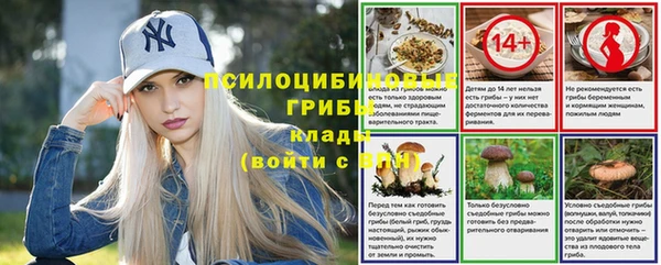хмурый Нея