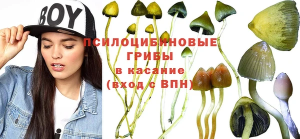 ГАЛЛЮЦИНОГЕННЫЕ ГРИБЫ Нефтекумск