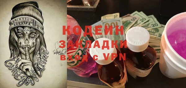 хмурый Нея
