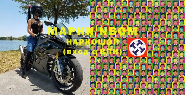 хмурый Нея