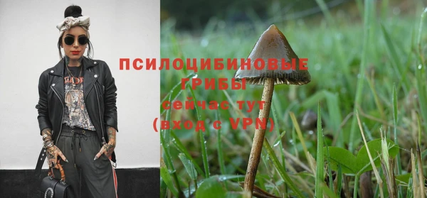 гашик Новодвинск