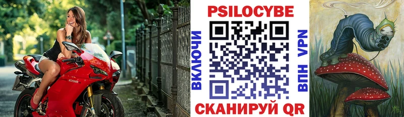 площадка состав  продажа наркотиков  Отрадная  Псилоцибиновые грибы Magic Shrooms 