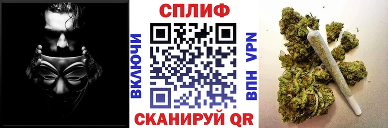 МЕГА ТОР купить наркотики цена Отрадная Шишки марихуана тримм